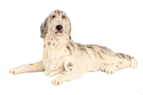 English Setter, Blue Belton Coat, LIMITED STOCK