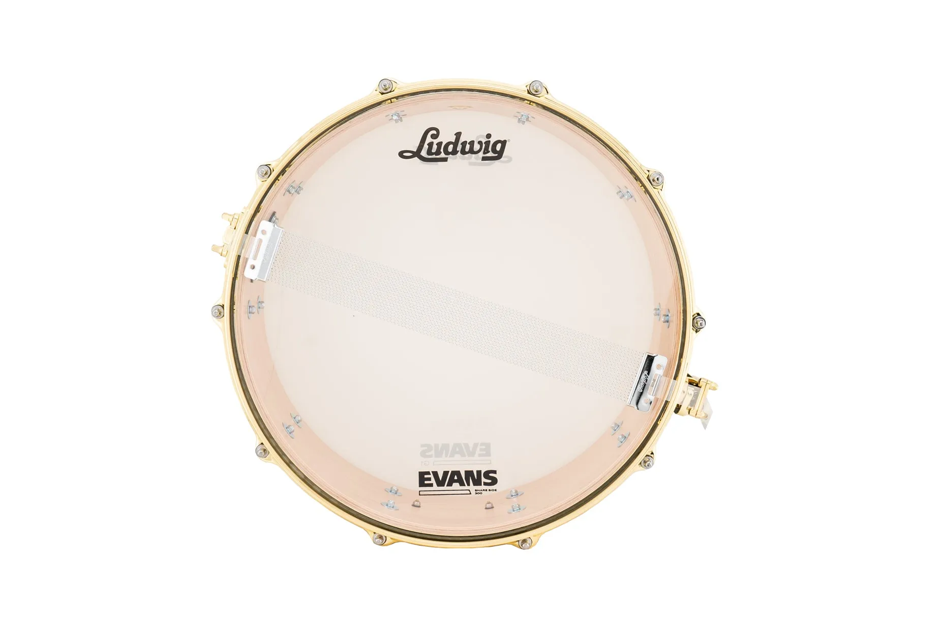 Ludwig Signature Nate Smith "Waterbaby" Snare Drum